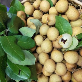 Nhãn thái cơm vàng vị ngọt 1kg [HCM]