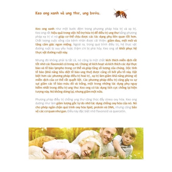 Hộp viên keo ong xanh Propolis Verte Bio 120v