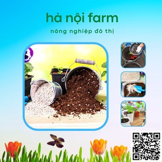 Đá perlite trân châu siêu nhẹ - Túi 10Lit