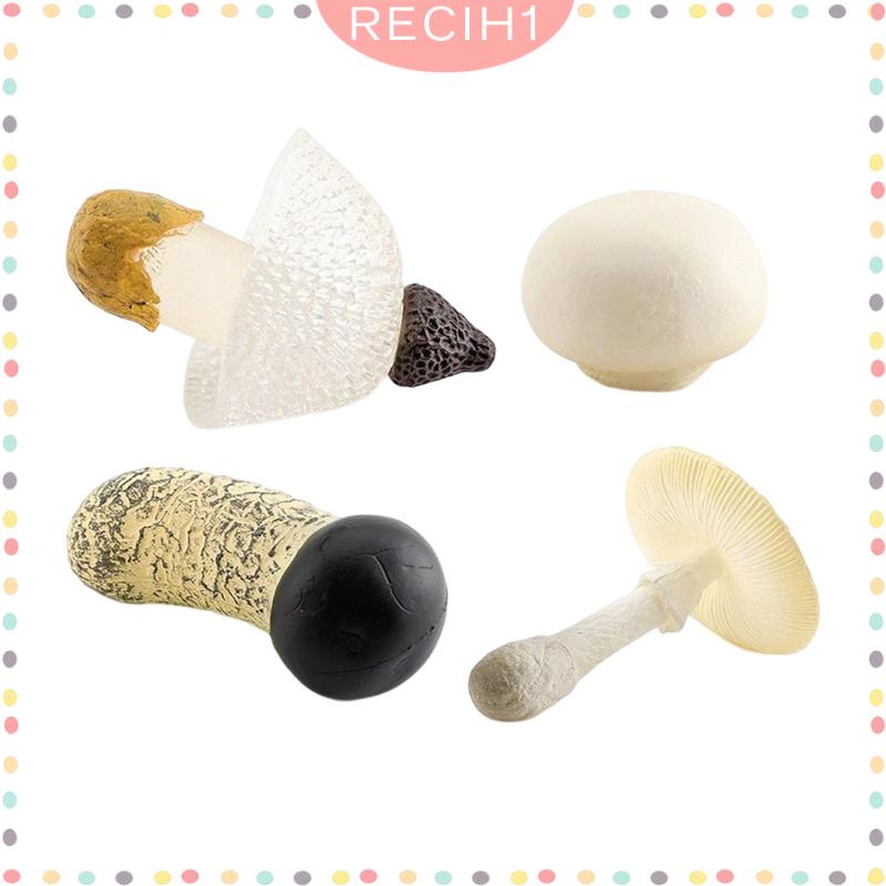 Bộ 4 Mô Hình Nấm Trang Trí Cho Ngày Và Đêm