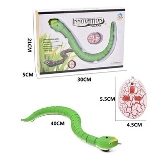 Đồ chơi rắn lục điều khiển từ xa