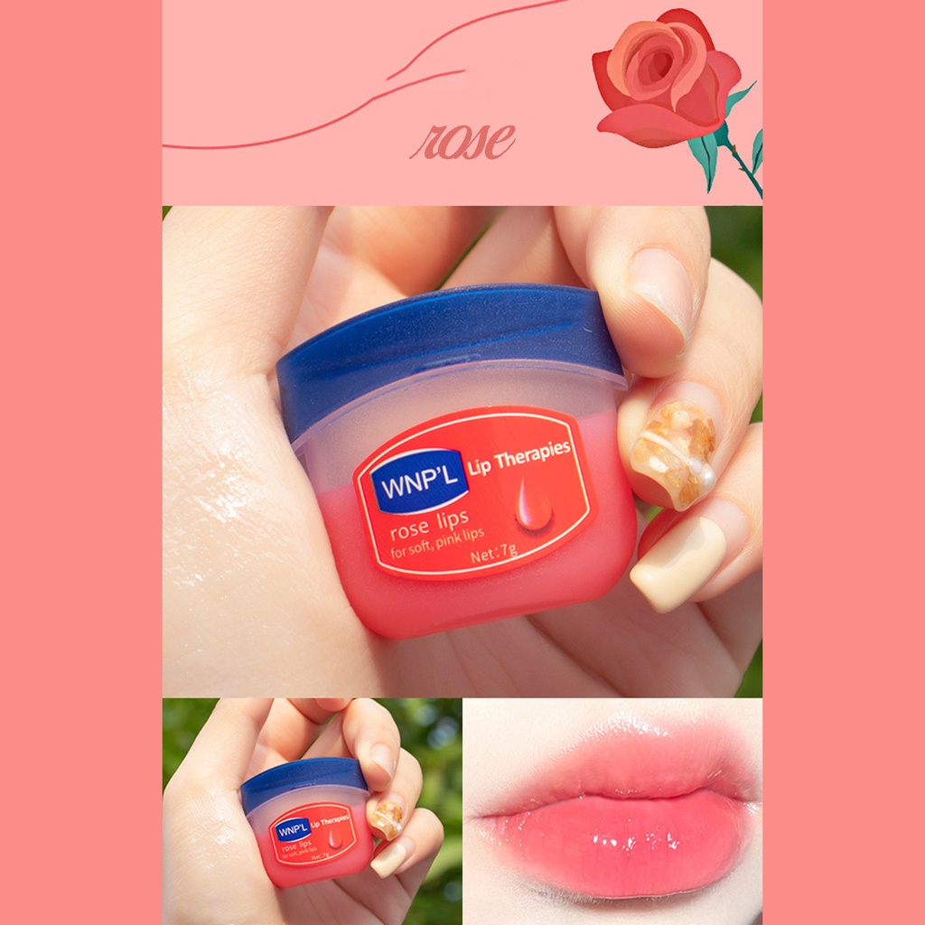 ✨✨Dưỡng môi VASELINE 7g dạng hũ LOẠI RẺ cho KHÁCH SỈ đủ vị