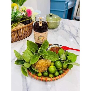 [MUA 1 TẶNG 1] Siro ho thảo mộc húng chanh Thiên Tri 500ml (có giấy kiểm định)