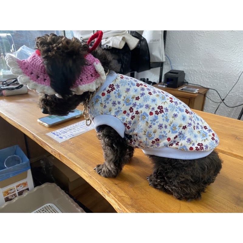 Áo ba lổ cho chó mèo