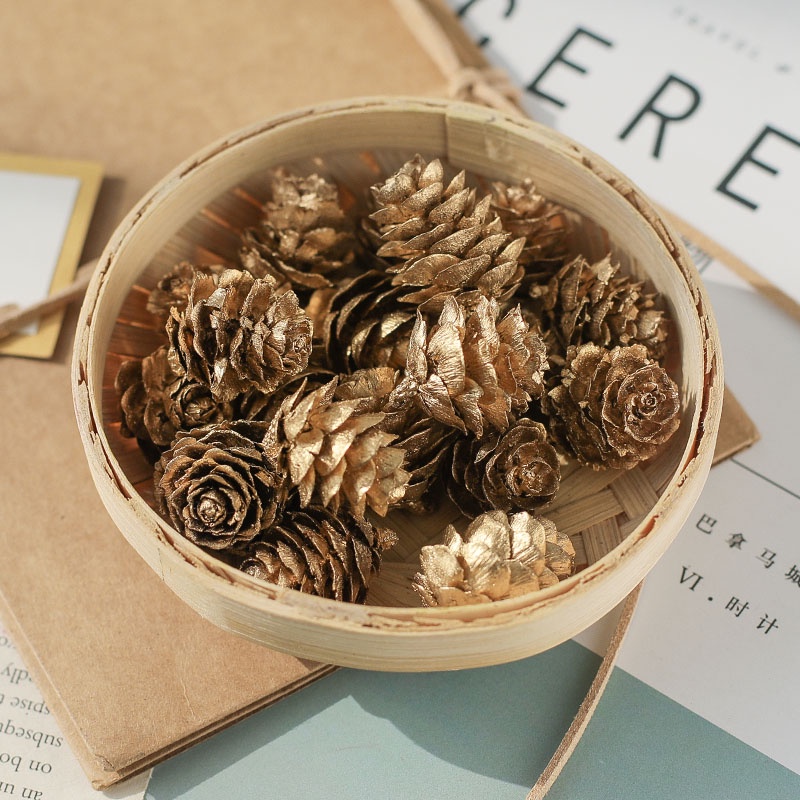 Quả thông khô màu gốc phụ kiện trang trí giáng sinh - Trang trí nhà cửa, Trang trí cây thông dịp noel