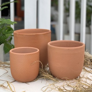 Chậu đất nung trồng cây vân nổi đủ size