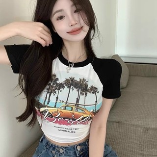 ÁO CROPTOP PHỐI TAY CÂY DỪA CCD1