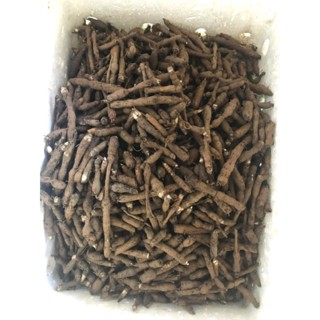 sâm tiên mao ( cau đen )