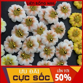 hoa bột nail- hướng dương
