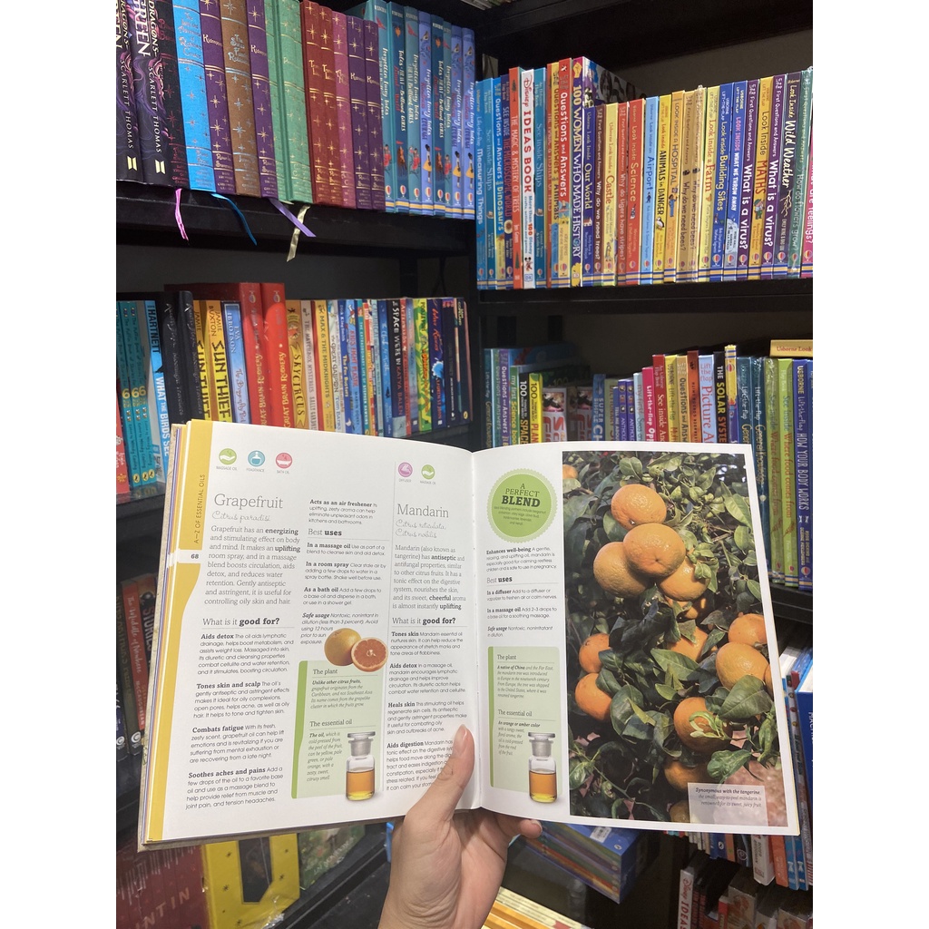 Sách - Essential Oils