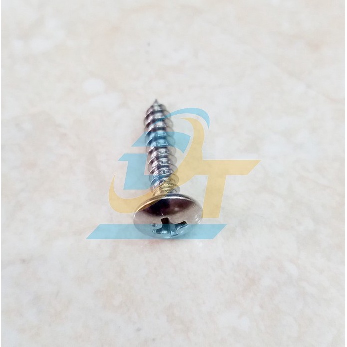 Vít gỗ đầu dù inox 304 M4x20 - M5x20