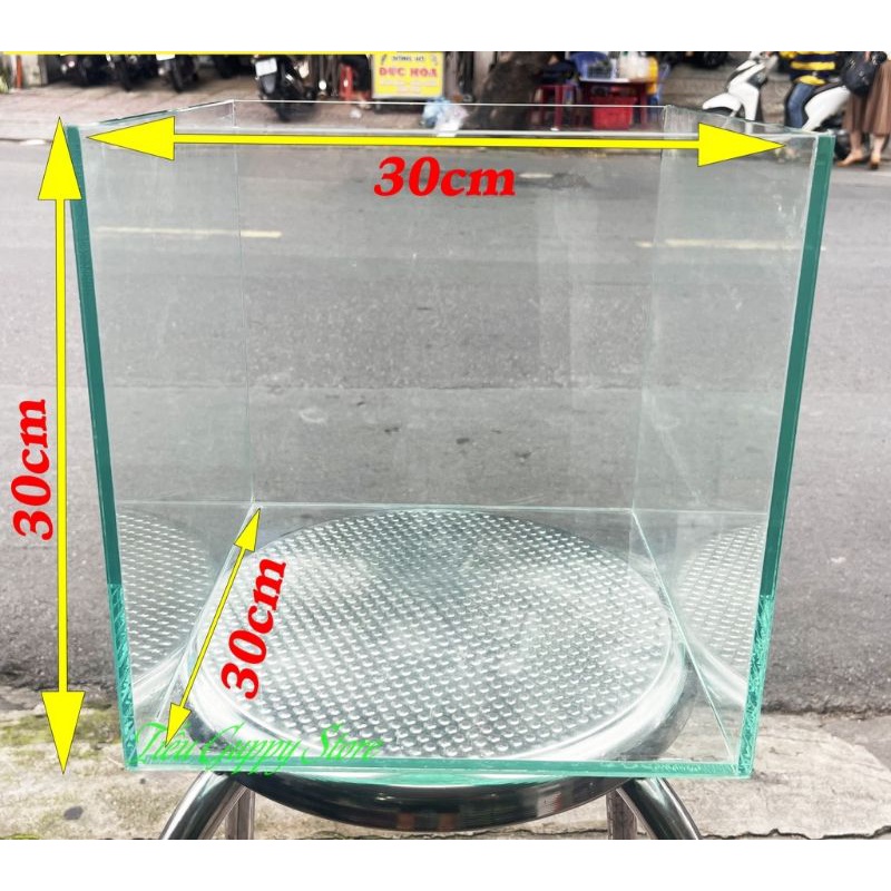 Bể Cubic 20cm/25cm/30cm. Bể cá giá rẻ.