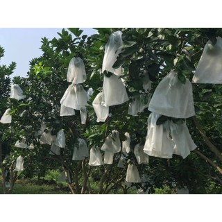 10 túi bọc bưởi 30x35
