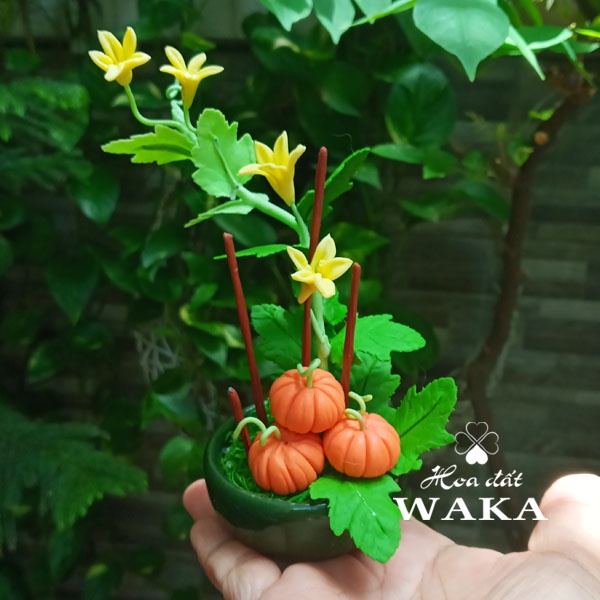 Hoa Đất Sét Mini- Bí đỏ