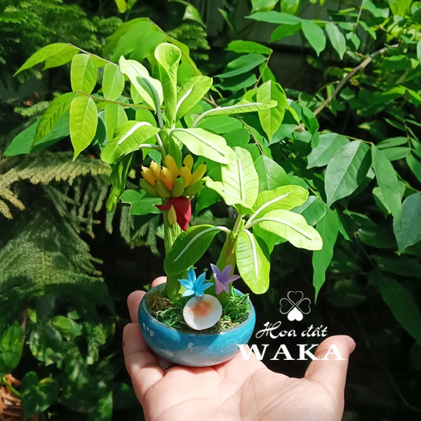 Hoa Đất Sét Mini-Cây Chuối Mini