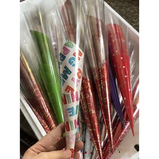 100 vỏ ốc quế các màu