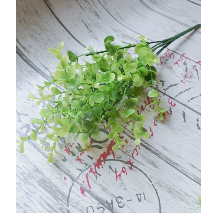 Nhánh cỏ xanh lá tròn