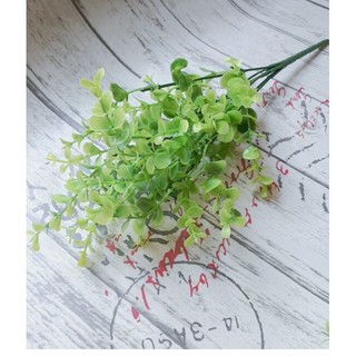 Nhánh cỏ xanh lá tròn