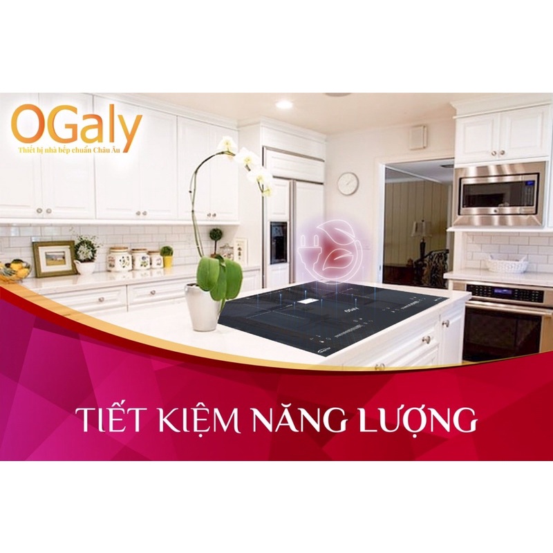 Bếp từ đôi OGaly OG D8233 Công nghệ biến tần , tiết kiệm điện năng