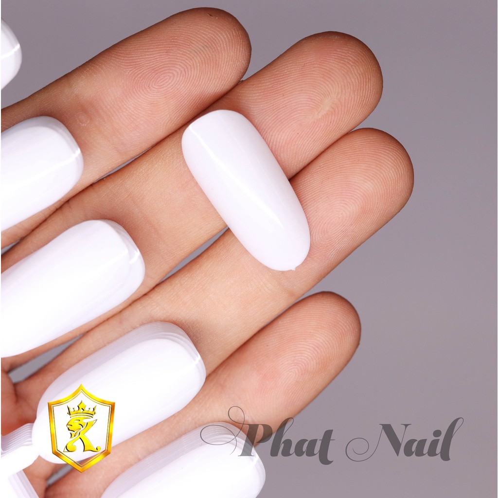 Set 10 vỉ móng vẽ mẫu cho salon