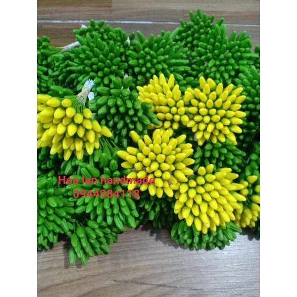 Nụ mai đất sét