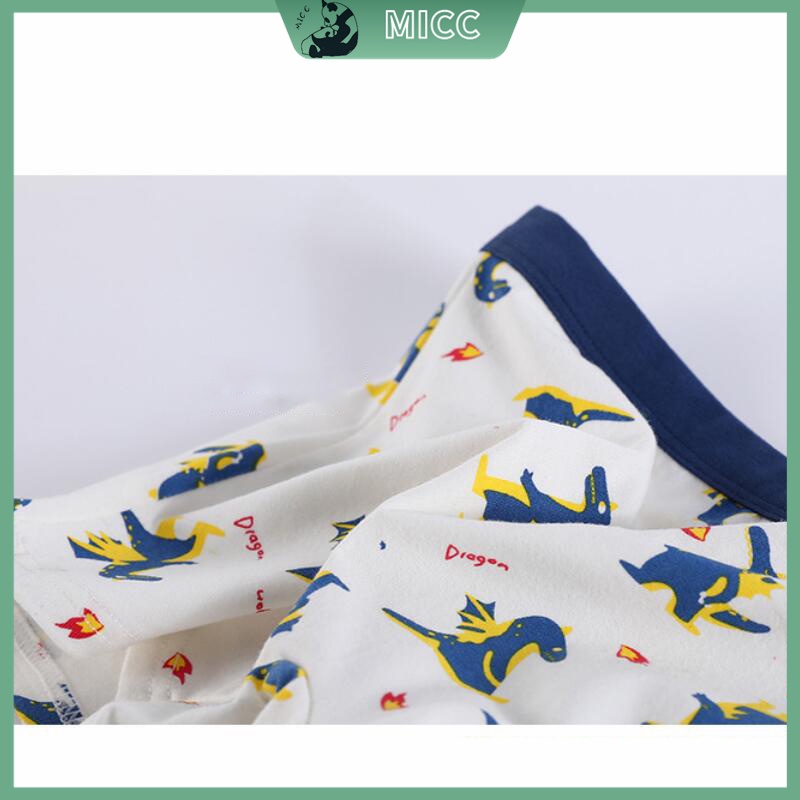 Hộp 4 Quần Lót Boxer In Họa Tiết Khủng Long Hoạt Hình Thoải Mái Cho Bé Trai 1-13 Tuổi