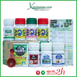 Combo 8 Premium Chăm Sóc Toàn Diện Cho Phong Lan