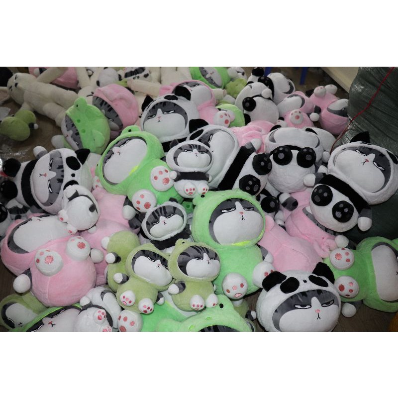 Gấu bông mèo hoàng thượng cosplay ếch, gấu bông mèo ếch, mèo thỏ