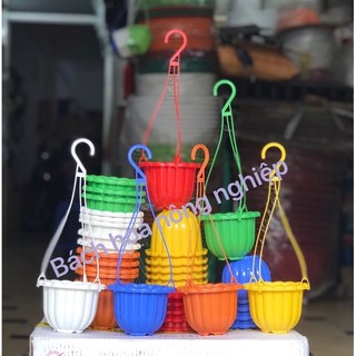 bán sỉ 50 chậu treo mini