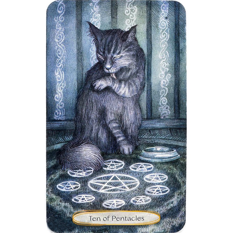 Bộ Bài Soul Cats Tarot  - Bài Gốc Authentic Chính Hãng 100%