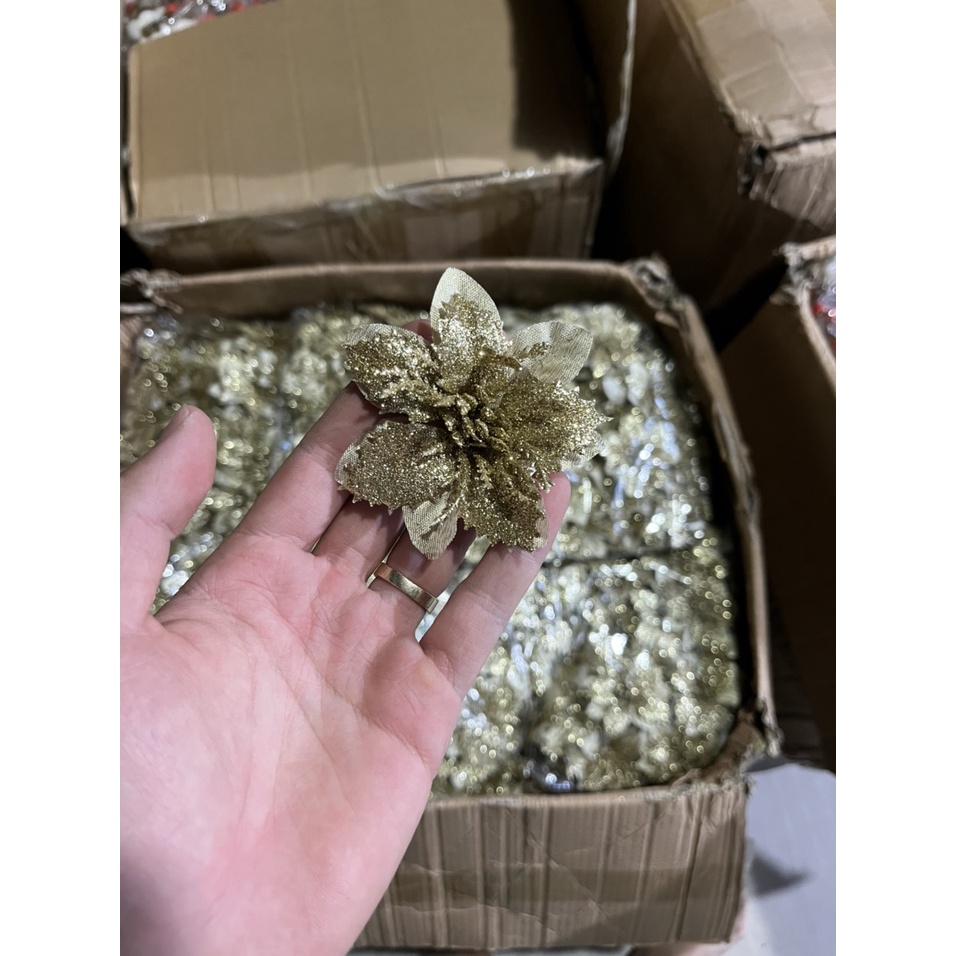 Sỉ Bông hoa trạng nguyên Trang trí noel,,làm oản,trang trí