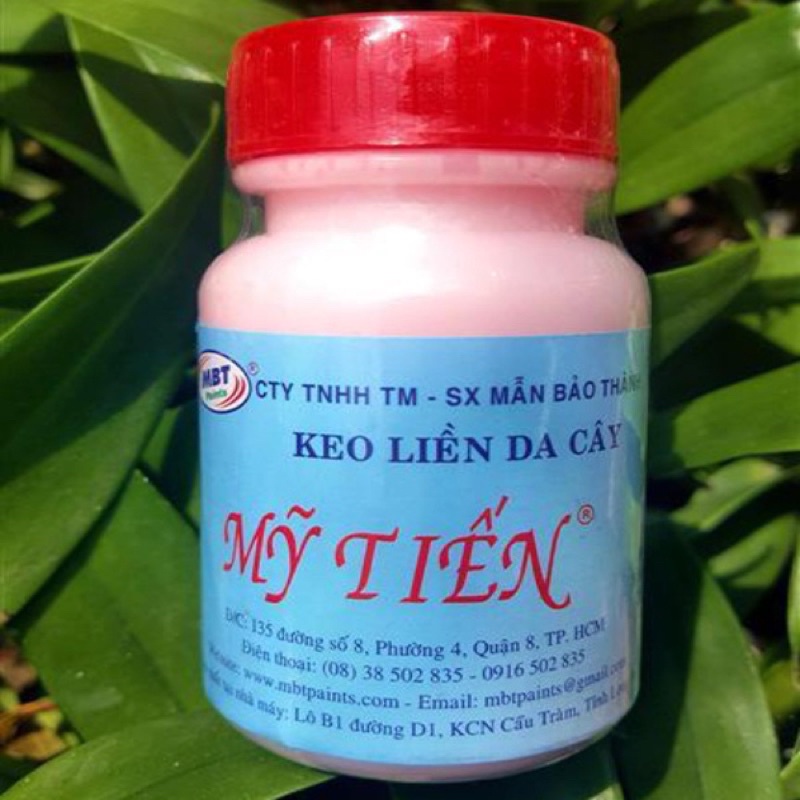 Keo liền da, keo liền sẹo mỹ tiến 100g