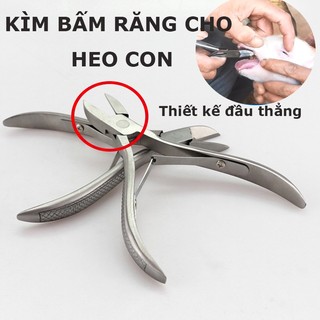 Kìm cắt răng, kìm bấm răng bằng thép không gỉ cho lợn dài 12cm