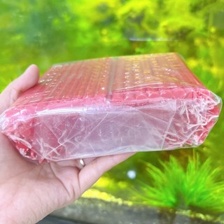 ĐÈN CẦY THẮP LỒNG ĐÈN TRUNG THU (~120 cây) - ĐÈN CẦY THẮP SÁNG