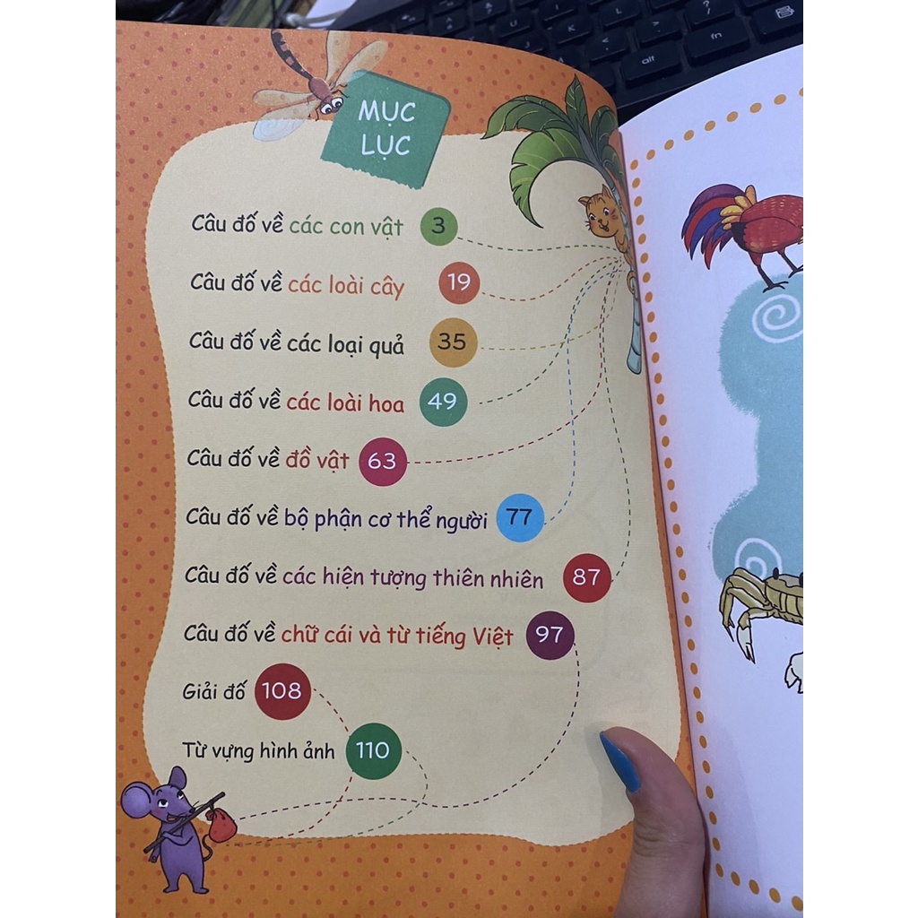 Sách Câu đố tư duy hình ảnh cho bé tập nói tập đọc