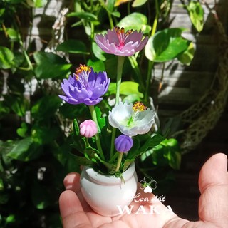 Hoa Đất Sét Mini- Chậu Sao Nhái Mini 12cm