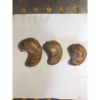 500g Hạt điều rang muối nguyên lụa Bình Phước