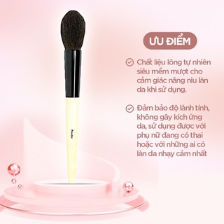 BOBBI BROWN SHEER POWDER ( CỌ PHỦ PHẤN )