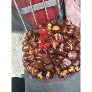 1KÝ [ HẠT DẺ RANG SẴN] túi 500g hút chân không