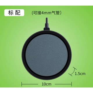 Đĩa sủi, sủi bể cá , sủi bể thủy sinh