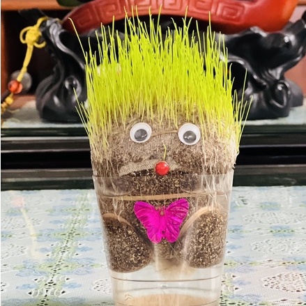 Búp Bê Đầu Hoa Cỏ Dễ Thương Trang Trí Phòng Bàn Làm Việc