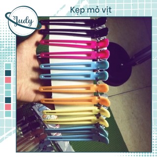 Kẹp chia lọn tóc ( Giúp nhuộm tóc dễ dàng)