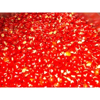 500 gram HẠT GIỐNG CẨM LAI ĐỎ [ Hạt tuyển chọn với tỷ lệ nảy mầm cao > 95% ] [ RẺ HƠN HOÀN TIỀN ]