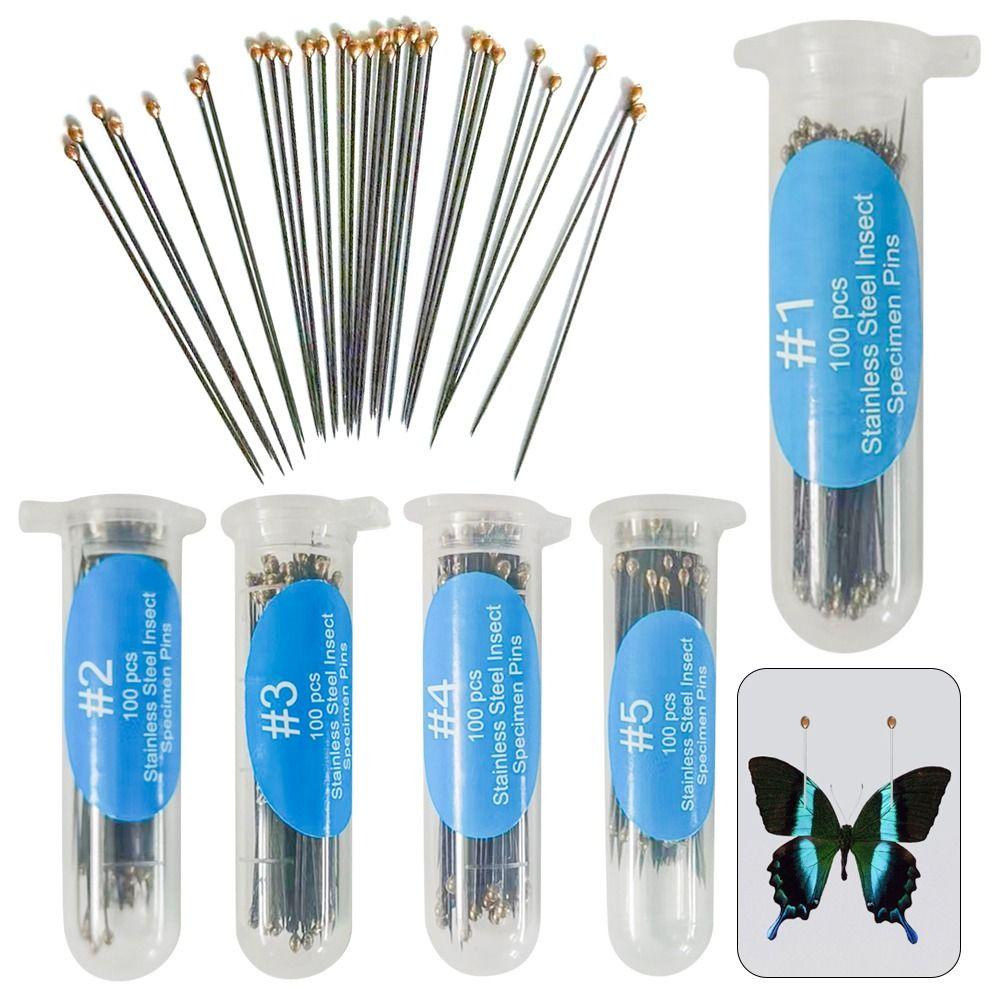 Set 100 Kim Học Đầu Nhọn Độ Cứng Cao Hỗ Trợ Dạy Học