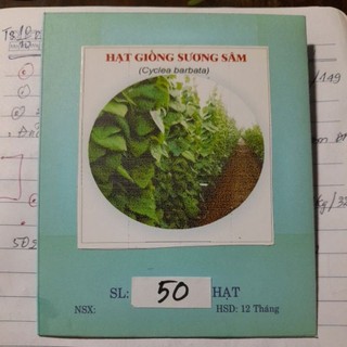 [Mua 2 tặng 1] GÓI 50 HẠT GIỐNG SƯƠNG SÂM LÔNG
