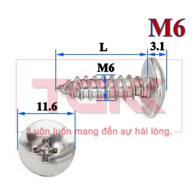 Vít bắt gỗ inox 201 chỏm cầu to M6