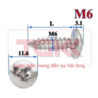 Vít bắt gỗ inox 201 chỏm cầu to m6