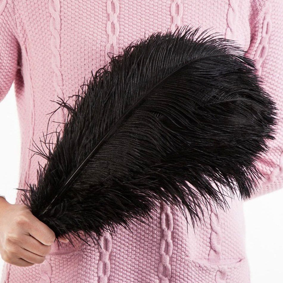 1 Lông Đà Điểu Trắng Đen Tự Nhiên 35-40cm Trang Trí Bình Hoa