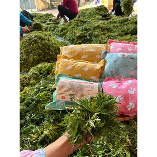 GỐi Đinh Lăng Cho Bé