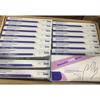 Găng Tay Victoria  100 Cái-E10